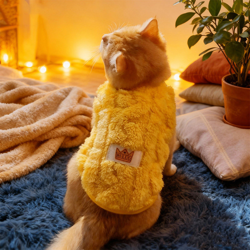 猫咪衣服冬季防掉毛布偶银渐层猫德文无毛猫英短蓝猫冬天保暖加厚,淘宝优惠券,粉丝福利购,淘宝优惠卷