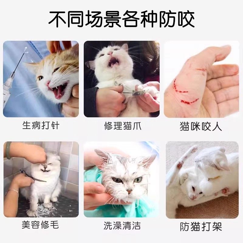 猫头套猫咪太空头罩宠物洗澡剪指甲防咬头套狗狗防舔伊丽莎白圈猫,淘宝优惠券,粉丝福利购,淘宝优惠卷