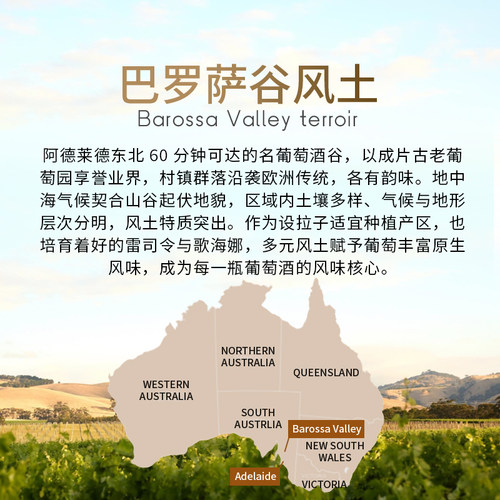 ASC杰卡斯酿酒师精选梅洛干红澳大利亚进口澳意葡萄酒750ml单支装 - 图1