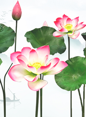 荷花水池莲花pu组合不褪色