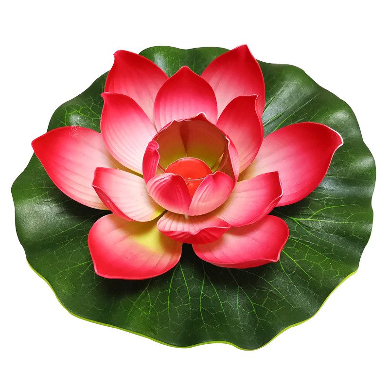 图5