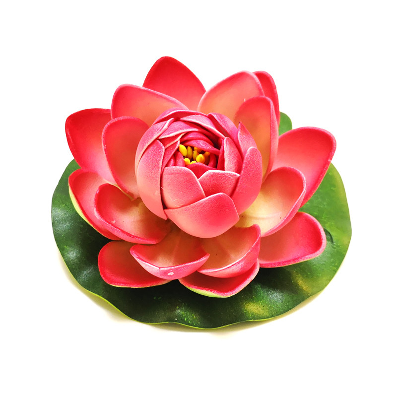 图5