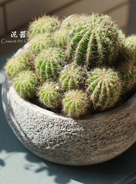 泥器简约透气侘寂风水泥花盆 粗制矮圆多肉仙人球造景盆百搭ins风