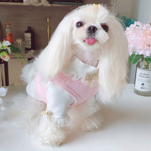 Неудобная сладкая жилета KZ Двойной с двумя хлопковыми домашними собаками Тедди Бисионг Фасун осень и зимнее платье