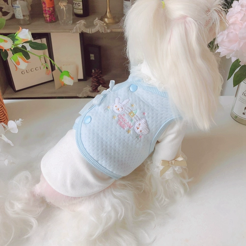 Неудобная сладкая жилета KZ Двойной с двумя хлопковыми домашними собаками Тедди Бисионг Фасун осень и зимнее платье