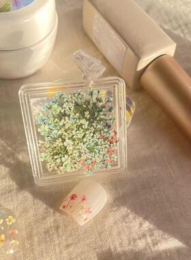 简约混色爆款小清新美甲干花饰品