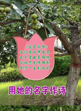 送女友送老婆生日礼物藏头诗挂牌名字写诗作诗诗歌填诗词创作定制