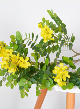 仿真槐花树枝 小黄花枝家居摆件插花黄槐花绿植摄影装饰仿真叶子