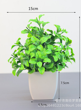 跨境热卖仿真绿植小盆栽室内外造景摆件家居装饰塑料尤加利小盆景