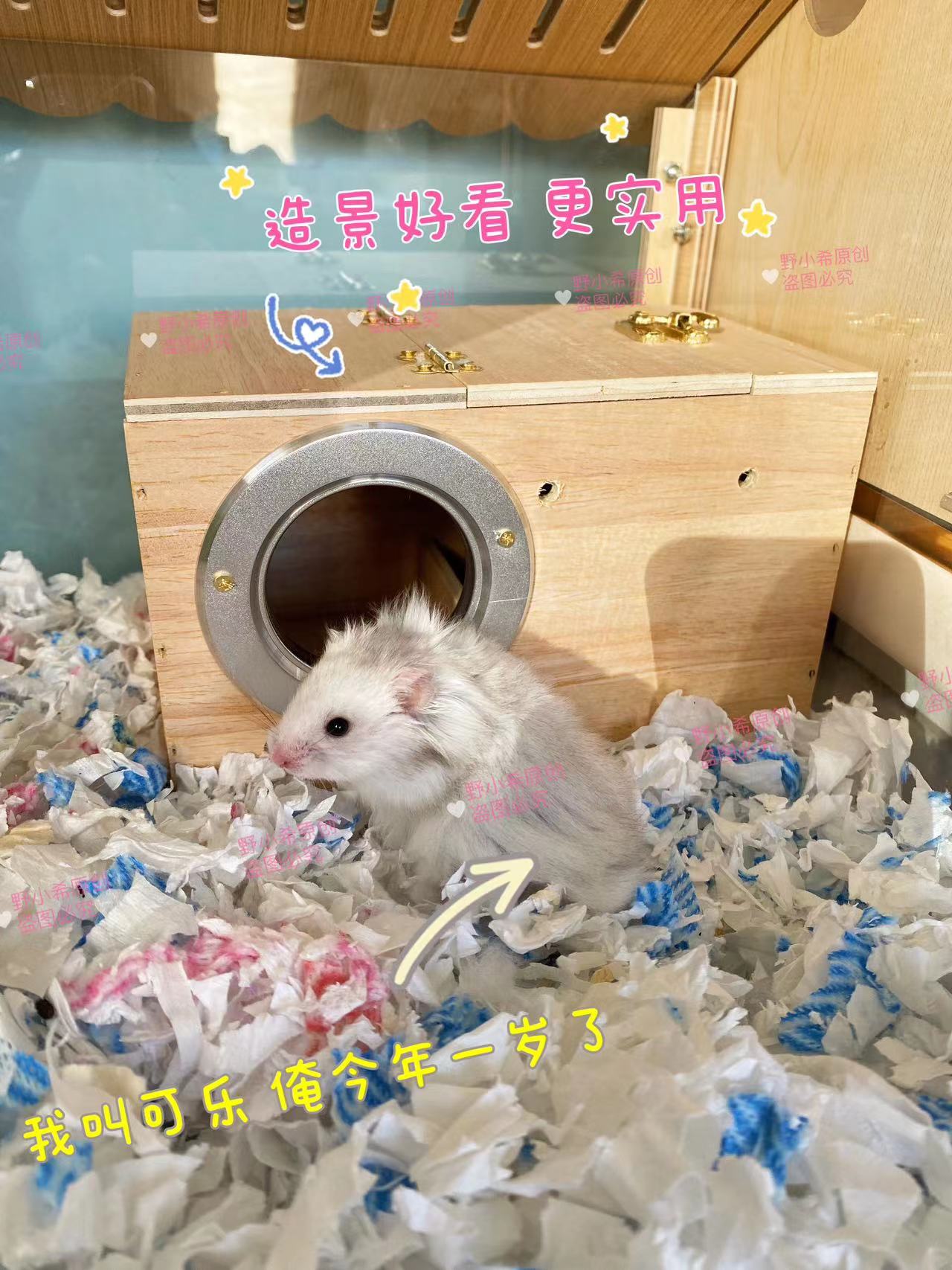 Diy仓鼠躲避屋原创金丝熊松鼠窝荷兰猪花枝鼠木屋小房子实木-图3