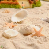 螃蟹王国 Пляжный ландшафтный расходной модель рыбная аквариум микроамблема пластиковая улитка снаряд Zhuhai Star White Shell