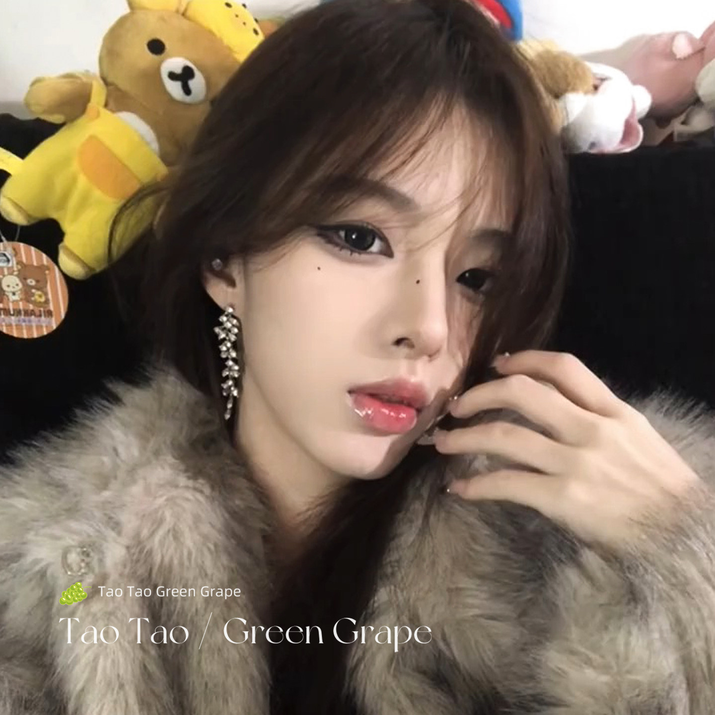 贵气千金高级感精致气质锆石长款流苏耳环女2026新款耳夹轻奢耳饰,淘宝优惠券,粉丝福利购,淘宝优惠卷