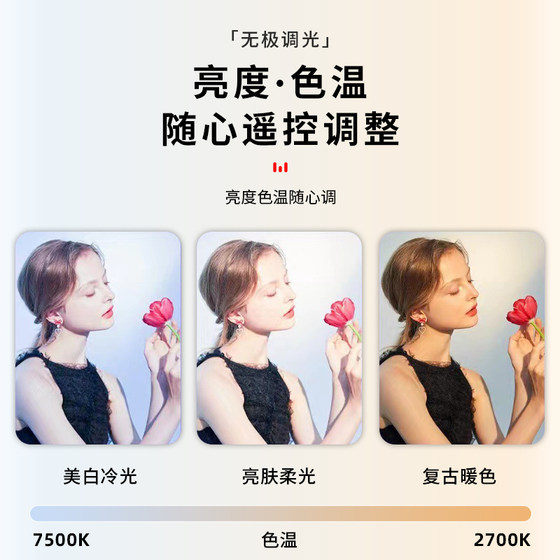 Special fill light for makeup artist, wedding and makeup facial light