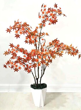 大型仿真枫叶树红枫树盆栽景观花