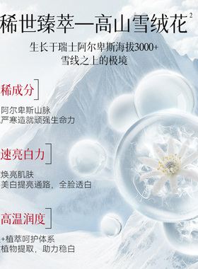 雪完美烟酰胺美白淡斑提亮面膜