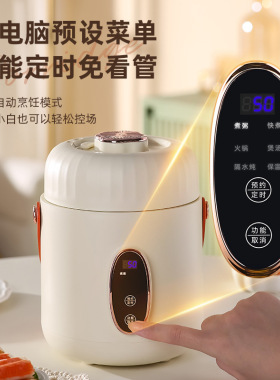 电炖杯迷你便携式电热杯多功能养生杯办公other/其他 其他/other