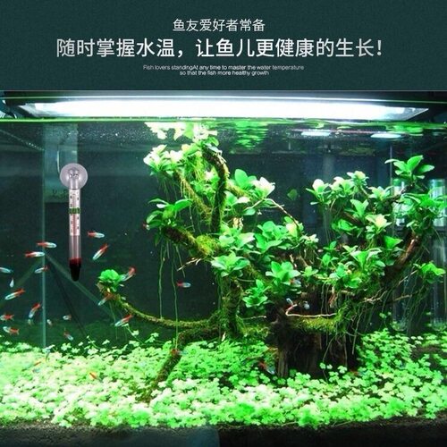 水族鱼缸温度计观赏鱼温度表高精度贴片水温计热带鱼龟缸草缸测温 - 图2
