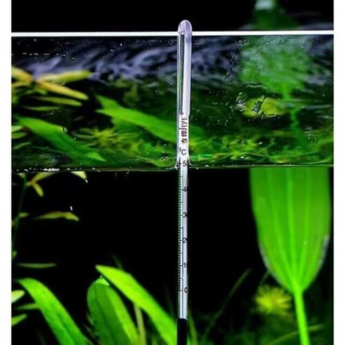 水族鱼缸温度计观赏鱼温度表高精度贴片水温计热带鱼龟缸草缸测温 - 图1