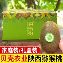 Shell Agriculture Xu Fragrant Kiwi Fruit Peach Shaanxi Brow County Fruit Green Heart Fresh Big Fruit Whole Box Gift Box Dress Kiwifruit