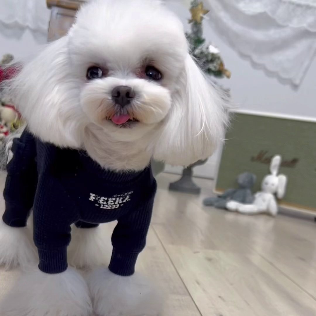 一阅心田菱格四脚服秋冬小型泰迪服装比熊宠物狗狗衣服纯棉加厚绒,淘宝优惠券,粉丝福利购,淘宝优惠卷