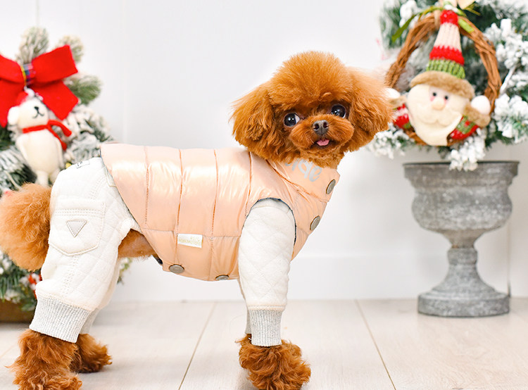 一阅心田菱格四脚服秋冬小型泰迪服装比熊宠物狗狗衣服纯棉加厚绒,淘宝优惠券,粉丝福利购,淘宝优惠卷