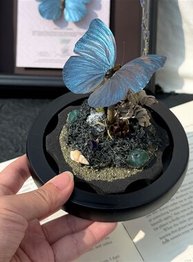 山意SHALL机械蓝绿闪蝶真蝴蝶标本生日礼物玻璃罩摆件手工送女友