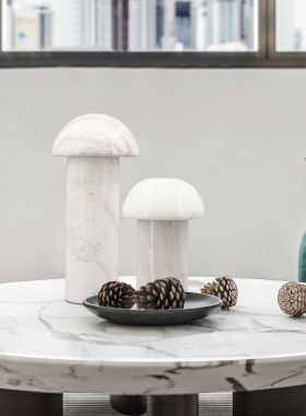 蘑菇新中式风客厅柜子白色大理石