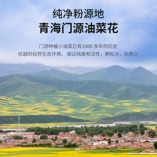 汪氏油菜花粉*5瓶 天然正品青海蜂花粉 旗舰店官方未破壁蜂花粉 - 图2