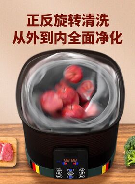 洗菜机12升带双向旋转式智能家用洗菜机果蔬清洗机消毒机