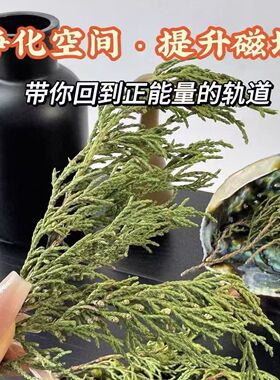 正宗西藏藏香柏枝叶植物香薰料新