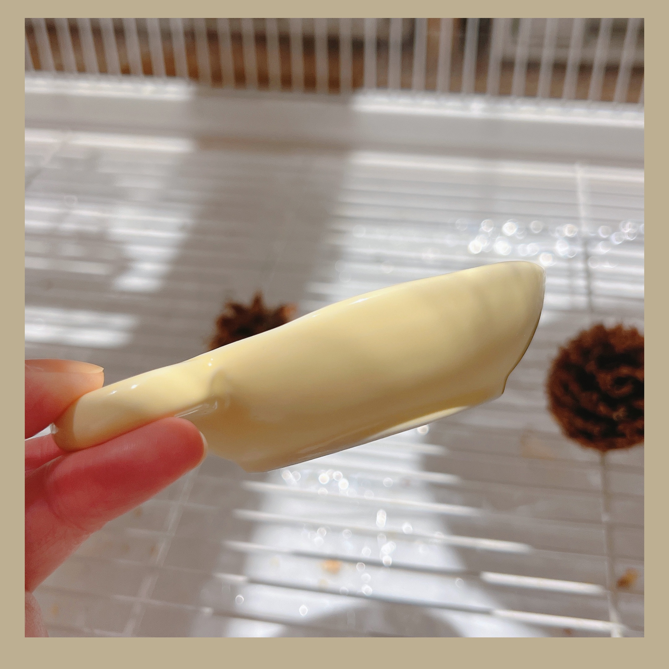 班尼宠物园 鹦鹉食盒陶瓷食盆鸟杯防打翻食碗学吃小型宠物鸟用品,淘宝优惠券,粉丝福利购,淘宝优惠卷