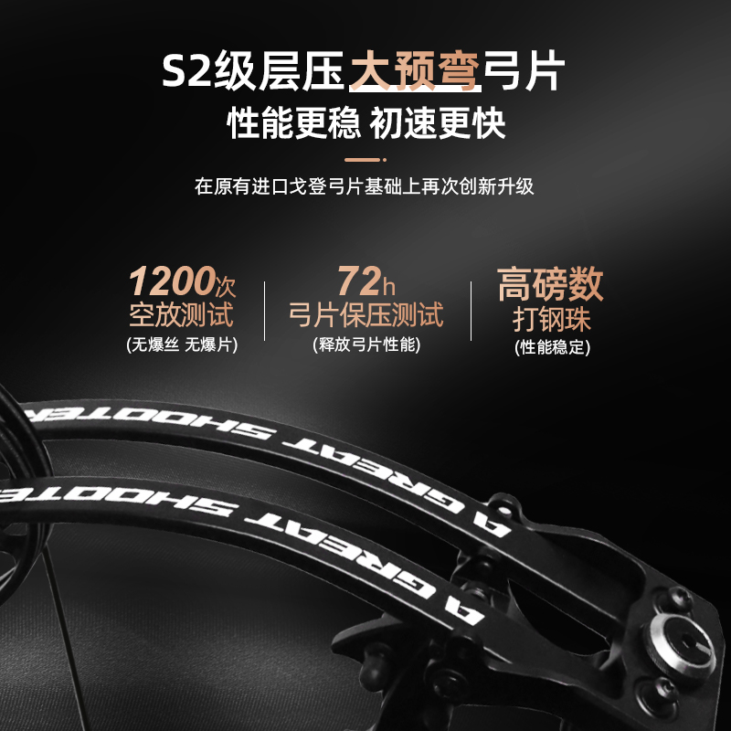 AGS射手S1两用复合弓正品射箭打钢珠弓箭成年人狩猎高精度非征途 - 图2