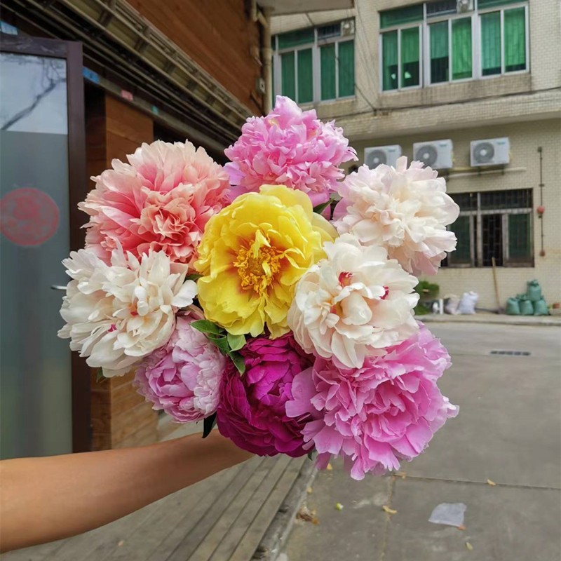 优选精品进口品种芍药花材鲜花速递芍药牡丹花鲜切花混搭特惠套餐 - 图1