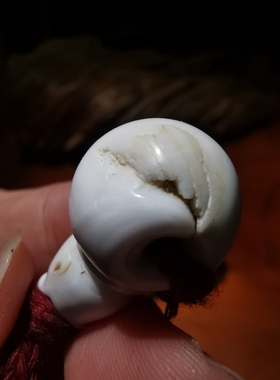 14200  藏传老法螺佛头三通