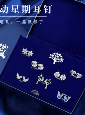耳钉925纯银一周耳环套装轻奢气