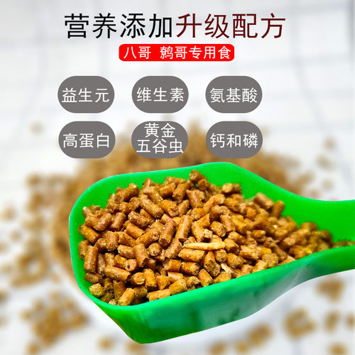 贵州妙歌八哥鸟食林八哥黑八哥鸟粮饲料鹩哥乌鸫营养学话食料包邮 - 图0
