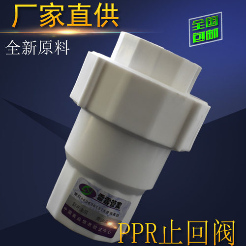 热熔PPR止回阀门4分管件6分进水32 4/50110防倒流2寸焊接逆止水阀 - 图1