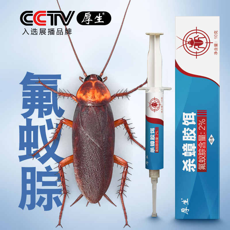 蚂蚁饵 新人首单立减十元 21年10月 淘宝海外