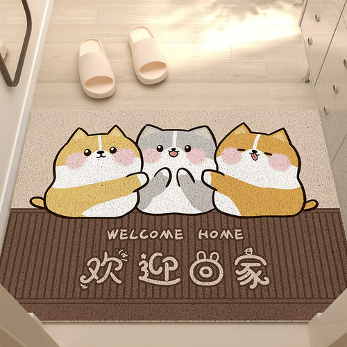 入户门地垫丝圈玄关进门口门垫耐脏免洗可裁剪免打理防滑脚垫地毯 - 图3