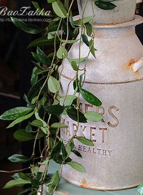 特惠法式风手造马口铁大奶罐花器