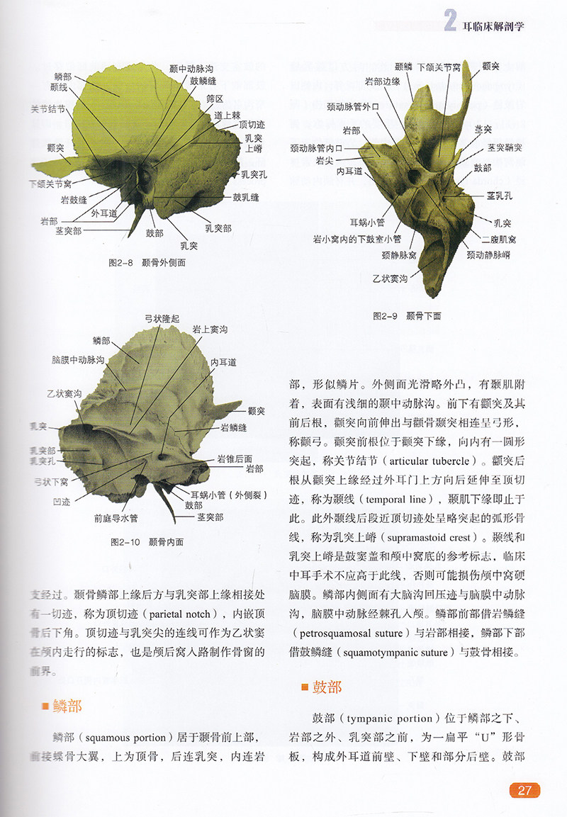 现货耳鼻咽喉头颈外科临床解剖学第二版2钟世镇现代临床解剖学全集现代临床解剖学医学参考书籍山东科学技术出版社9787572301414_虎窝淘
