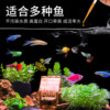 Hatchable brine shrimp eggs, guppy fry, open food