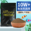 Hatchable brine shrimp eggs, guppy fry, open food