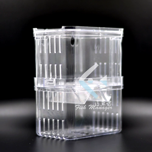 Коробка для размножения рыбы павлина