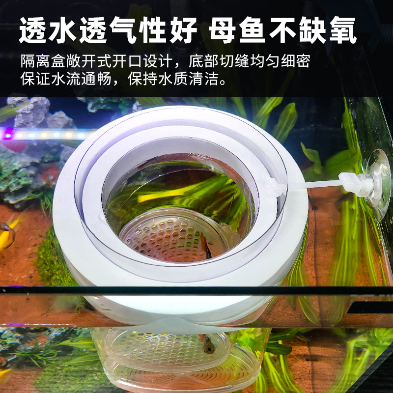 孔雀鱼小鱼繁殖隔离盒鱼缸鱼苗分隔网凤尾鱼孕母鱼孵化器生产专用,淘宝优惠券,粉丝福利购,淘宝优惠卷