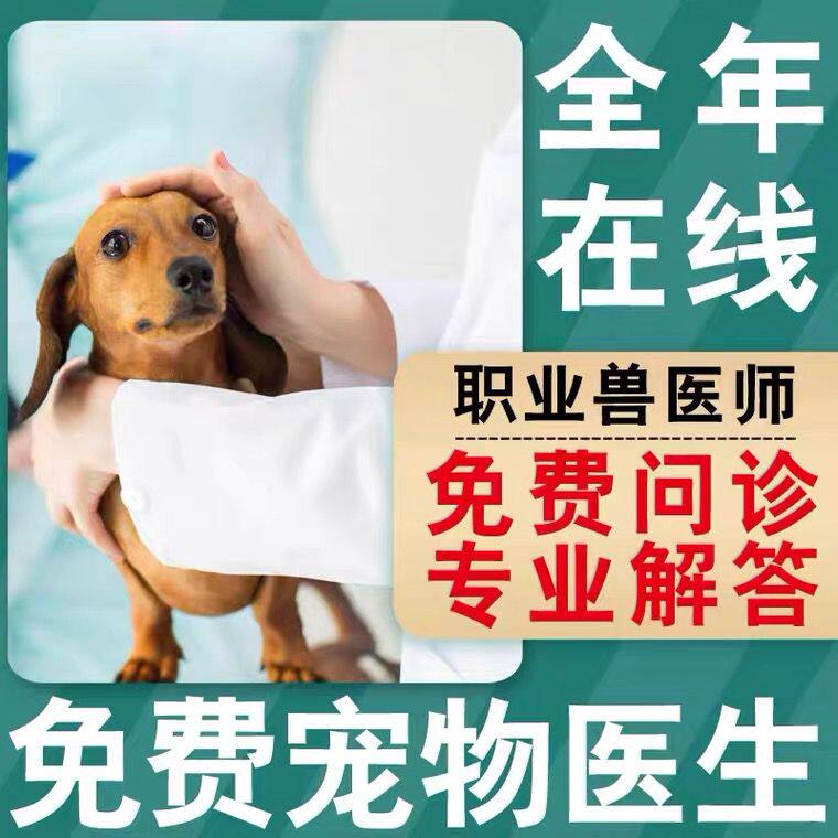 【深圳犬舍】拉布拉多幼犬小中大型宠物真物狗狗家养神犬小七狗狗