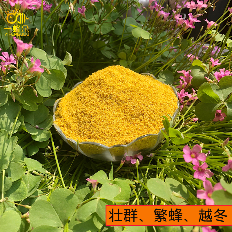 新2023年蜜蜂饲料花粉喂蜂花粉天然养蜂饲料蜂粮养蜜蜂油菜杂花粉