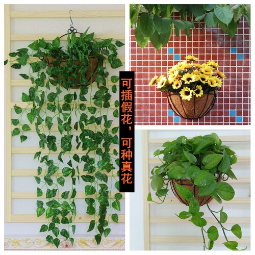 【超透气】壁挂墙上花篮小鸟窝贴墙面椰棕花盆吊兰情人泪绿萝花篮 - 图1