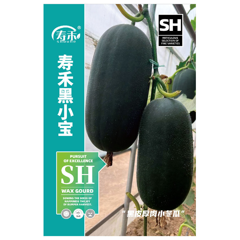 黑小宝冬瓜种子种籽苗大全菜苗四季秧孑秧苗南方东瓜蔬菜东瓜子种,淘宝优惠券,粉丝福利购,淘宝优惠卷
