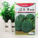 Японские холодные устойчивые к превосходным семенам семян семян брокколи янсиу, семенах брокколи, четыре сезона семян семян овощей, семена овощей, западные голубые цветы